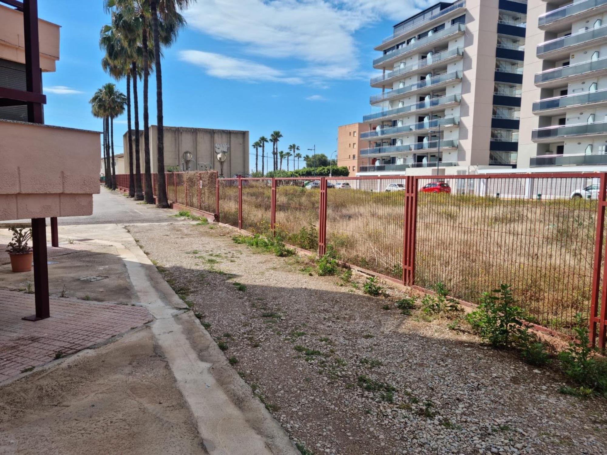 La Palmera *